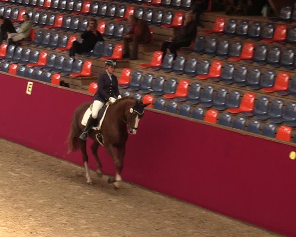 Reitturnier Krumke 2024