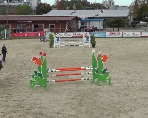 Reitturnier Achern 2024