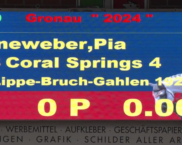 Reitturnier Gronau 2024