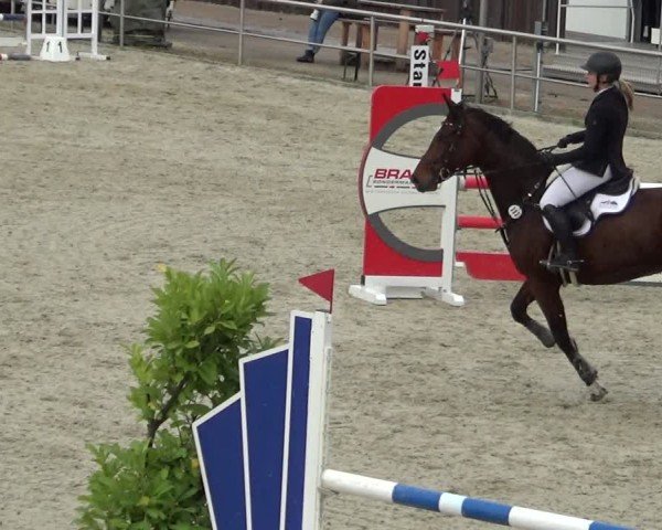 Reitturnier Achern 2024