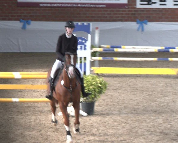 Reitturnier Gronau 2024