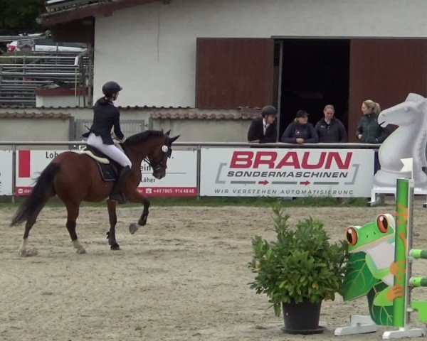 Reitturnier Achern 2024