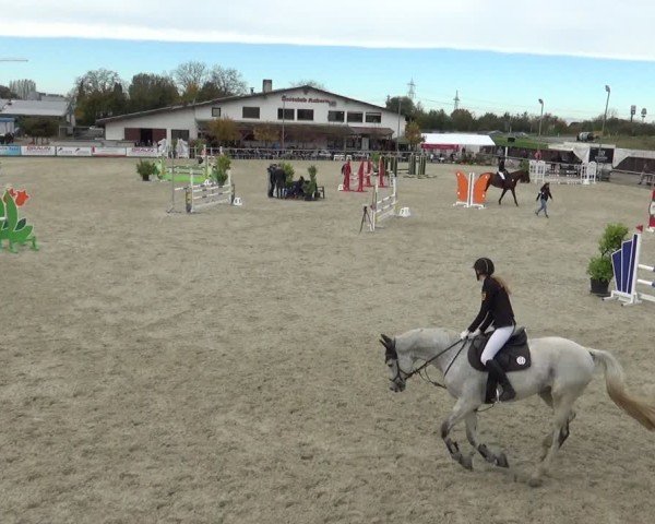 Reitturnier Achern 2024