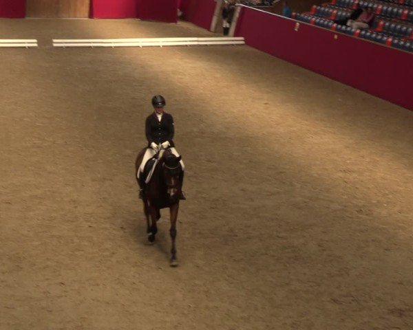 Reitturnier Krumke 2024