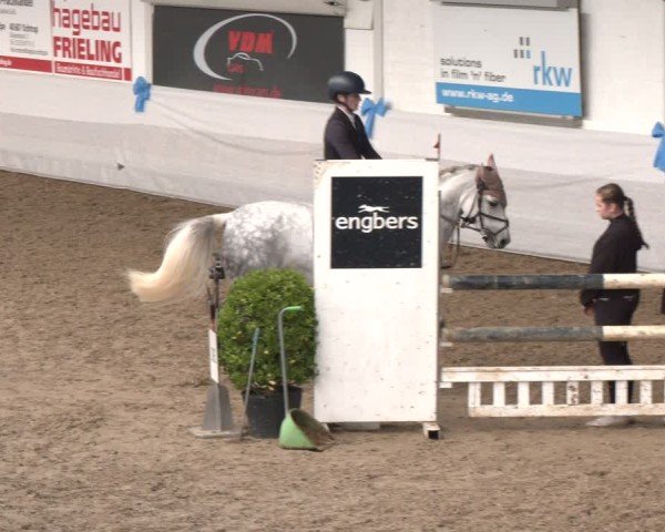 Reitturnier Gronau 2024