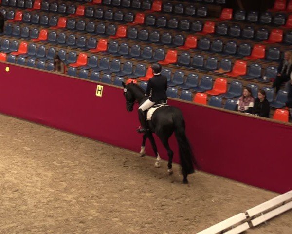 Reitturnier Krumke 2024