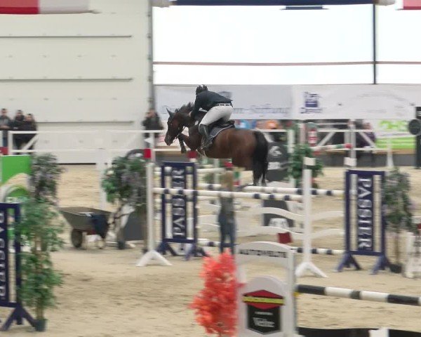 Reitturnier Borken 2024