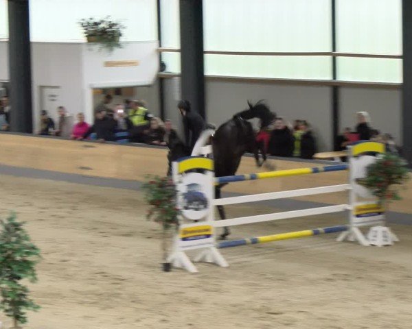 Reitturnier Borken 2024