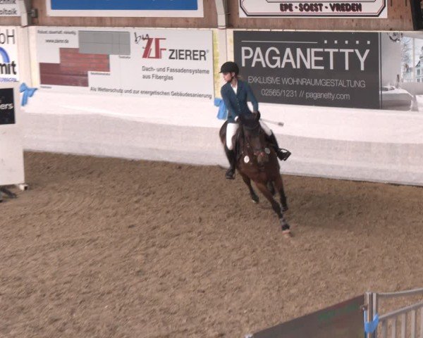 Reitturnier Gronau 2024