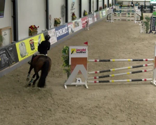 Reitturnier Borken 2024