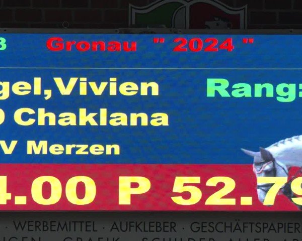 Reitturnier Gronau 2024