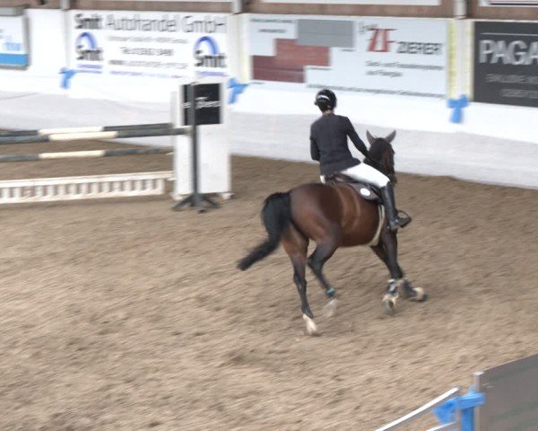 Reitturnier Gronau 2024