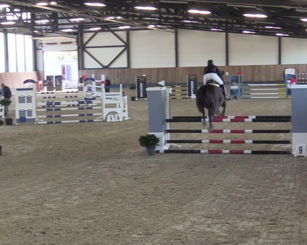 Reitturnier Zwickau 2024
