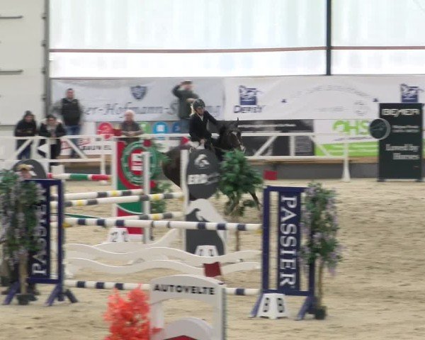 Reitturnier Borken 2024