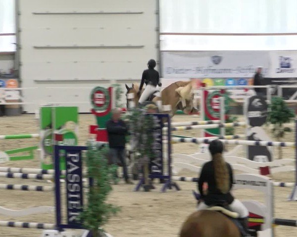 Reitturnier Borken 2024