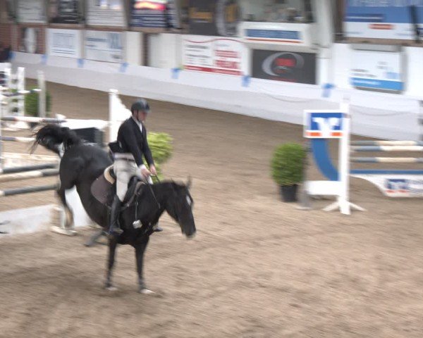 Reitturnier Gronau 2024