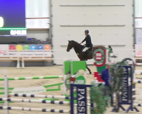 Reitturnier Borken 2024