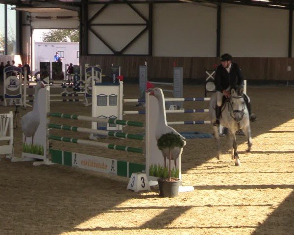 Reitturnier Zwickau 2024