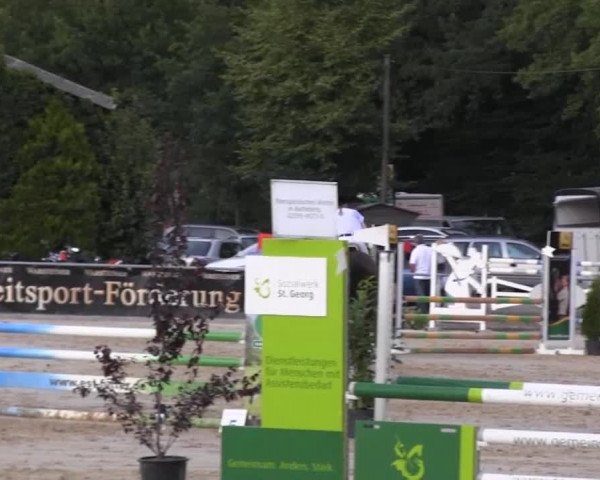 Vinnummer Reitertage 2013