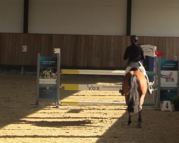 Reitturnier Zwickau 2024