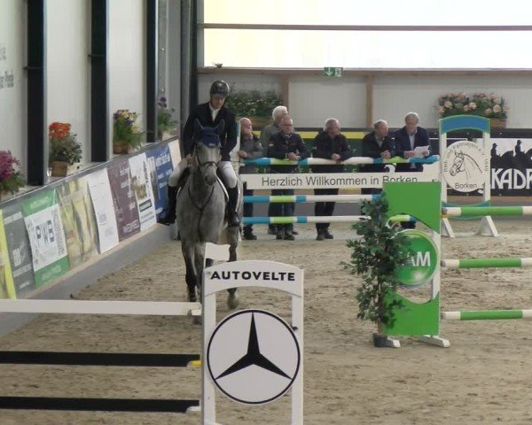 Reitturnier Borken 2024