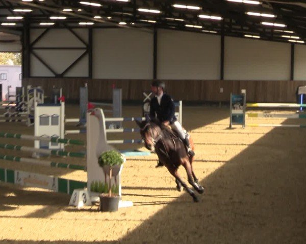 Reitturnier Zwickau 2024
