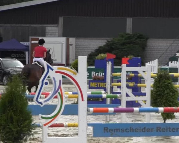 Vinnummer Reitertage 2013