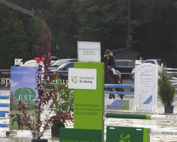 Vinnummer Reitertage 2013