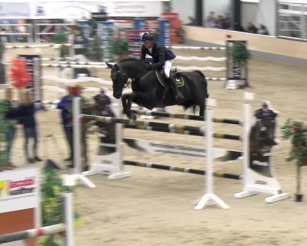 Reitturnier Borken 2024