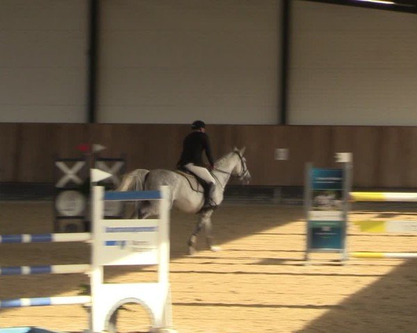 Reitturnier Zwickau 2024