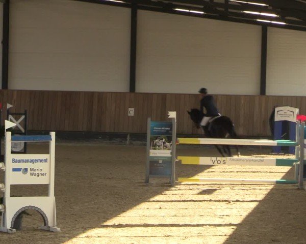 Reitturnier Zwickau 2024