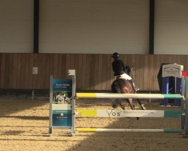 Reitturnier Zwickau 2024