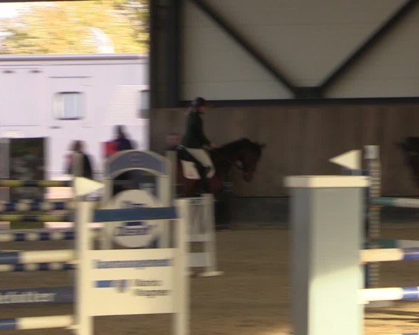 Reitturnier Zwickau 2024