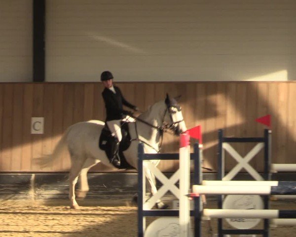 Reitturnier Zwickau 2024