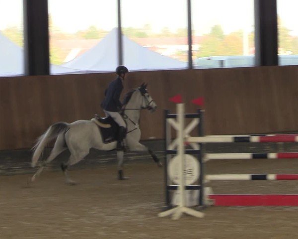 Reitturnier Zwickau 2024