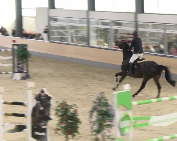 Reitturnier Borken 2024