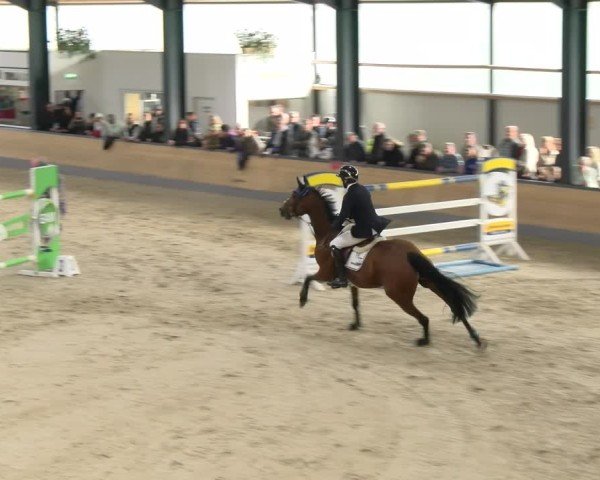 Reitturnier Borken 2024