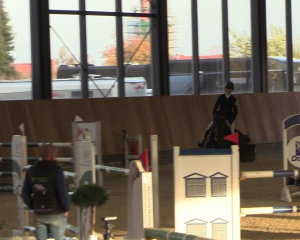 Reitturnier Zwickau 2024