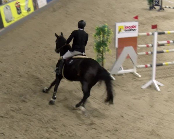 Reitturnier Borken 2024