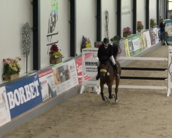 Reitturnier Borken 2024