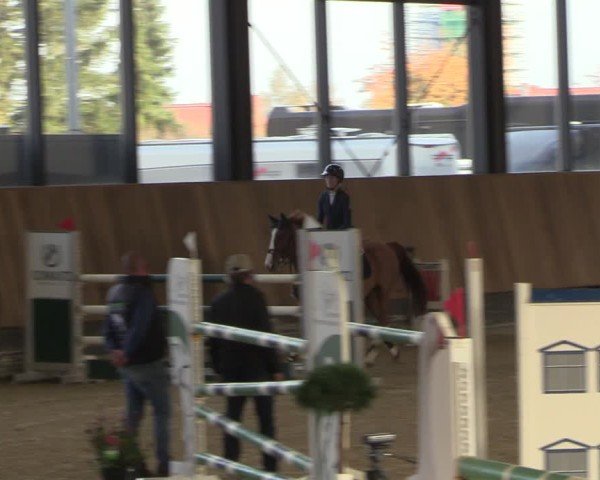 Reitturnier Zwickau 2024