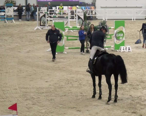 Reitturnier Borken 2024