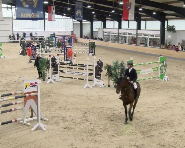 Reitturnier Borken 2024