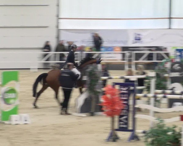 Reitturnier Borken 2024