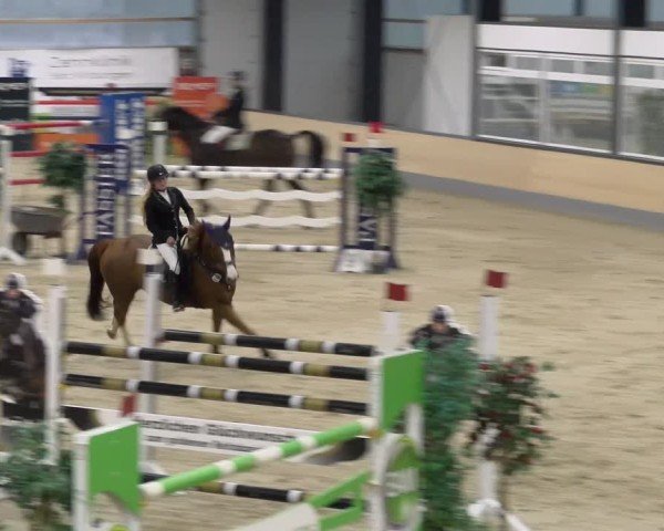 Reitturnier Borken 2024