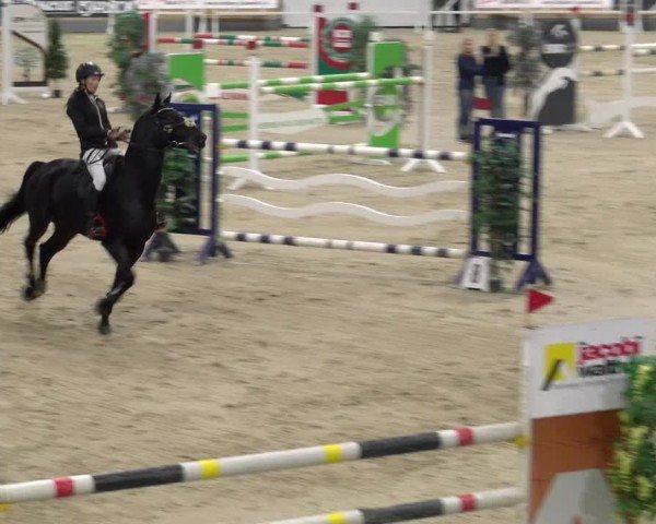 Reitturnier Borken 2024