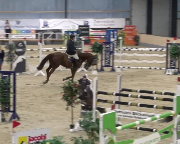 Reitturnier Borken 2024