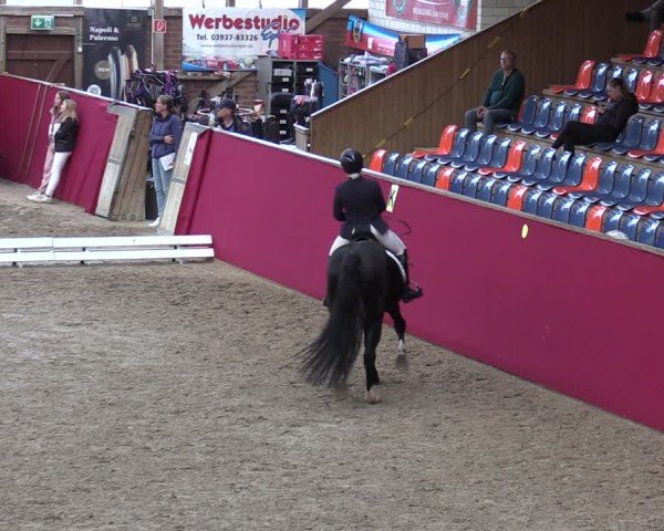 Reitturnier Krumke 2024