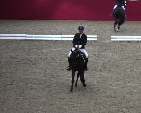 Reitturnier Krumke 2024