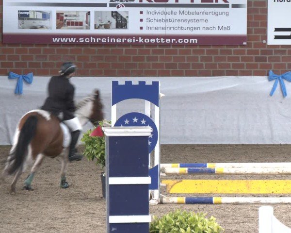 Reitturnier Gronau 2024